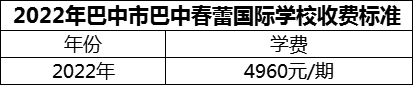 2024年巴中市巴中春蕾國(guó)際學(xué)校學(xué)費(fèi)多少錢(qián)？