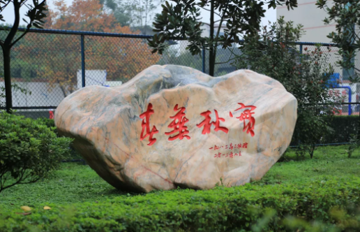 大竹二中2019年高考、中考成績再創(chuàng)輝煌