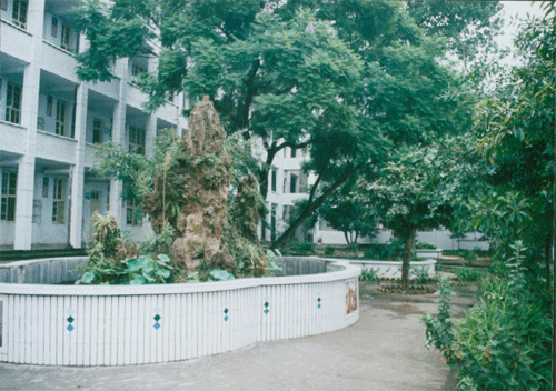 內(nèi)江十三中地址在哪？