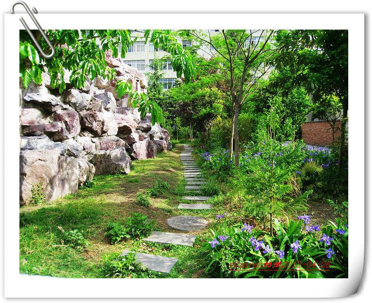 甘洛中學(xué)地址在哪里？
