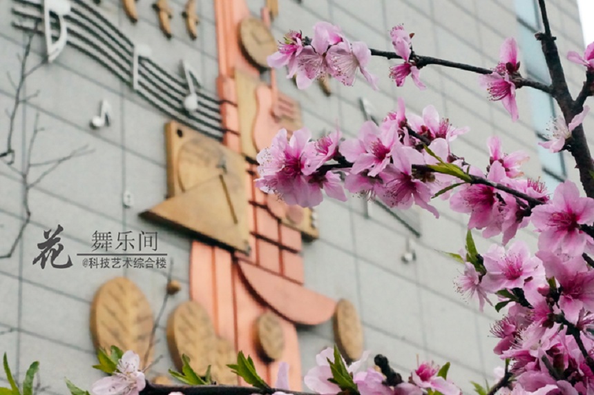 石室天府中學(xué)環(huán)境好不好、怎么樣？