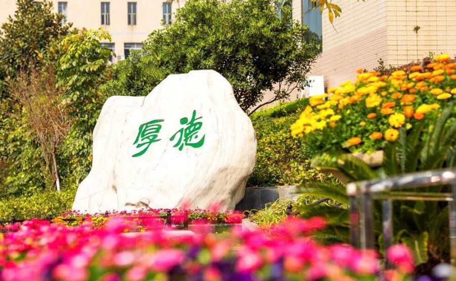 綿陽外國語學校學費大概是多少？