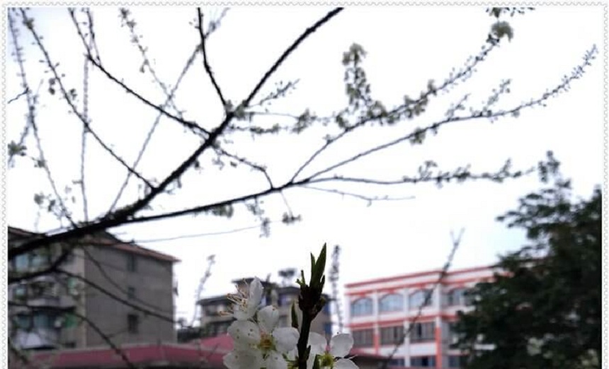 洪雅中學是一所公辦高中學嗎？