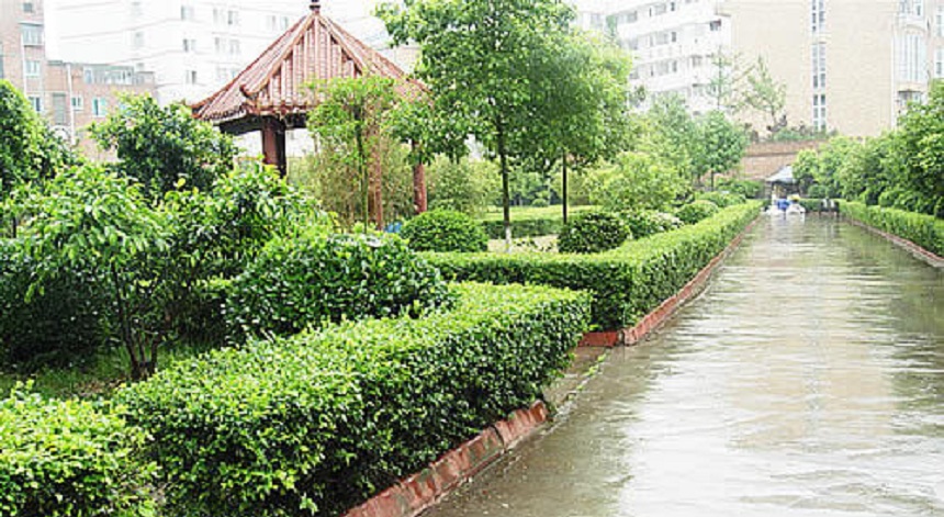 華興中學(xué)2019年中考分數(shù)線是多少？