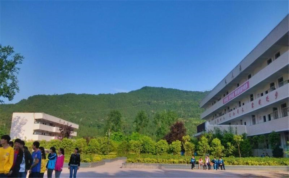 金山中學2020年學校招生計劃在哪兒看？
