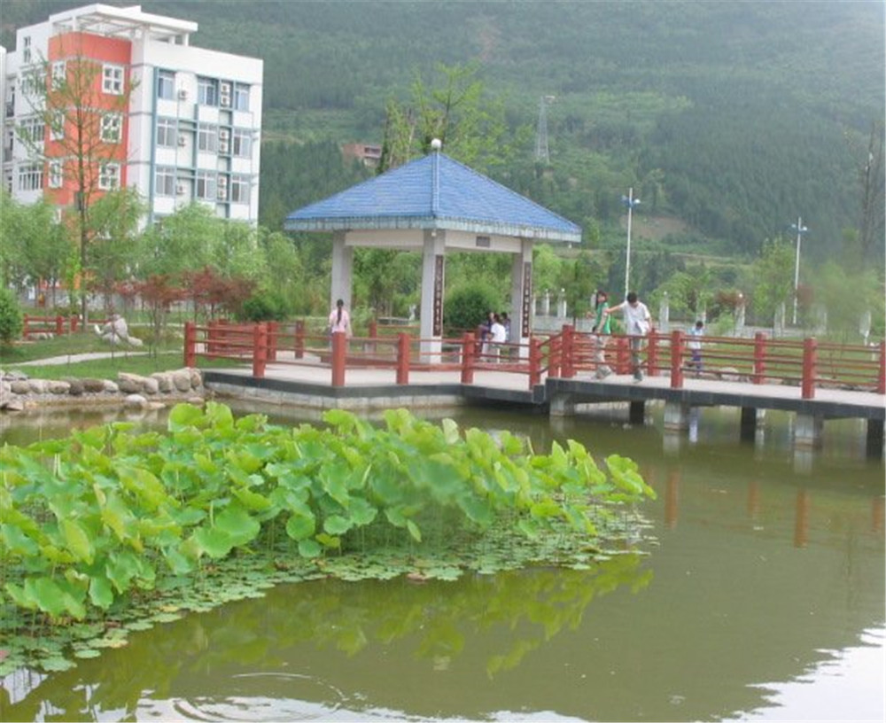 廣元外國語學(xué)校2020年學(xué)校招生簡章公布了嗎？
