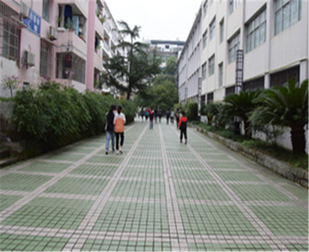 歧坪中學2020年的錄取分數是多少？