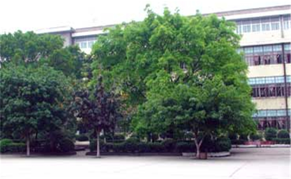 威遠縣自強中學學校環(huán)境怎么樣？