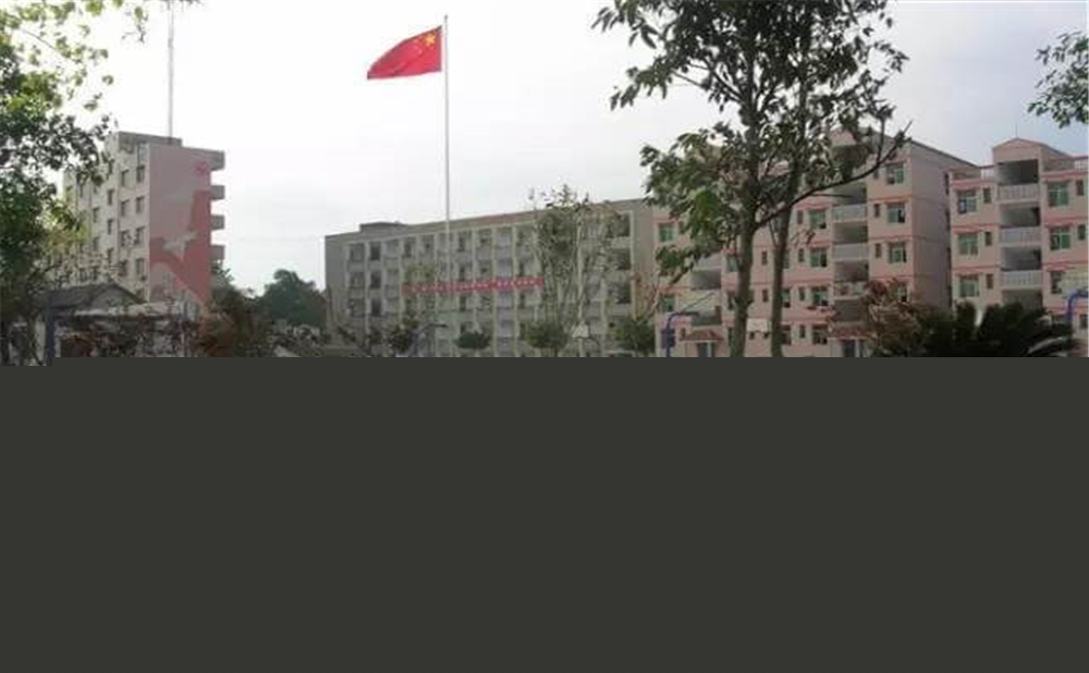 內江市第十一中學學校招辦電話是多少？