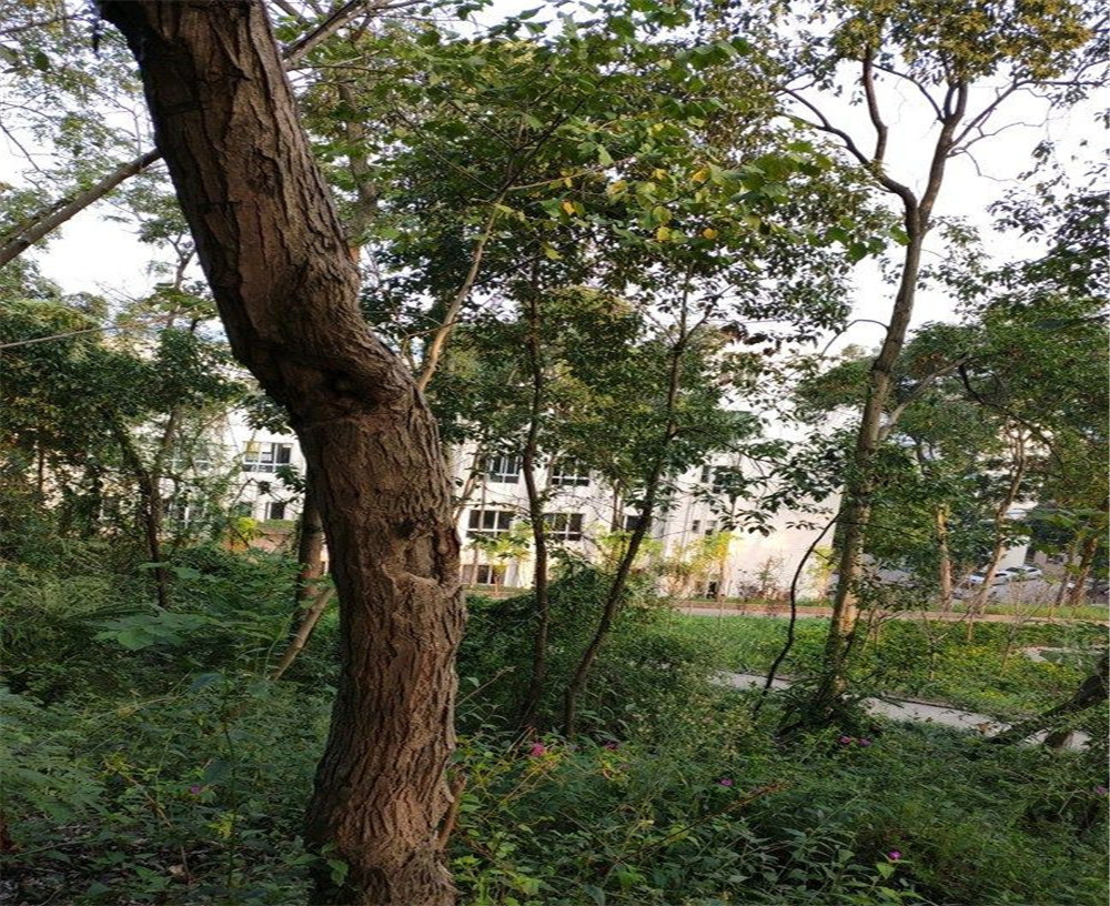 蒲家中學(xué)的詳細(xì)地址在什么地方？