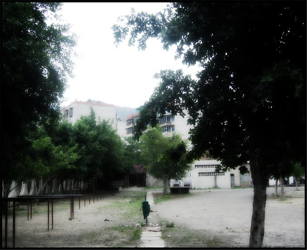 攀枝花市延邊縣中學(xué)校招辦電話是多少？