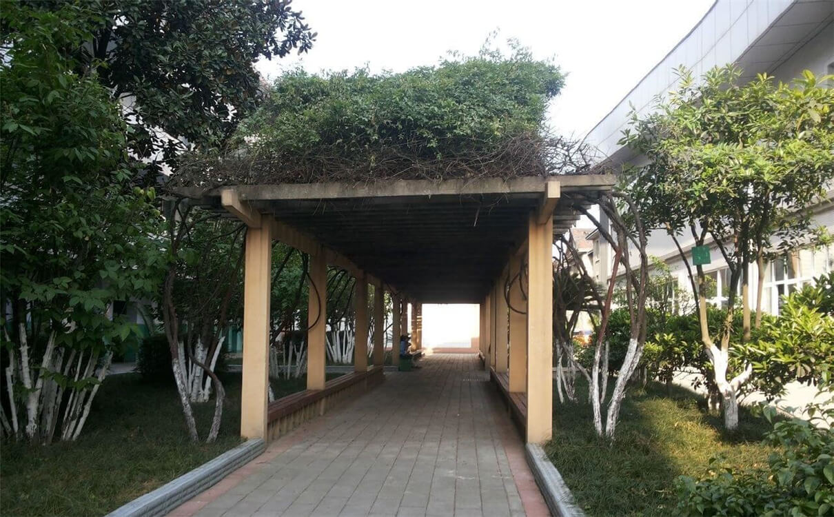 通錦中學的高中怎么樣？