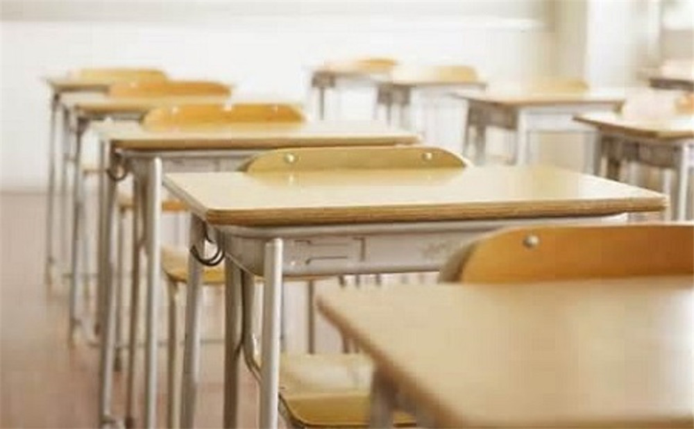 新格林藝術高級中學校2020年招生錄取分數(shù)線是多少？