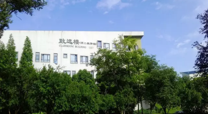 成都實驗外國語學(xué)校（西區(qū)）的升學(xué)率怎么樣？