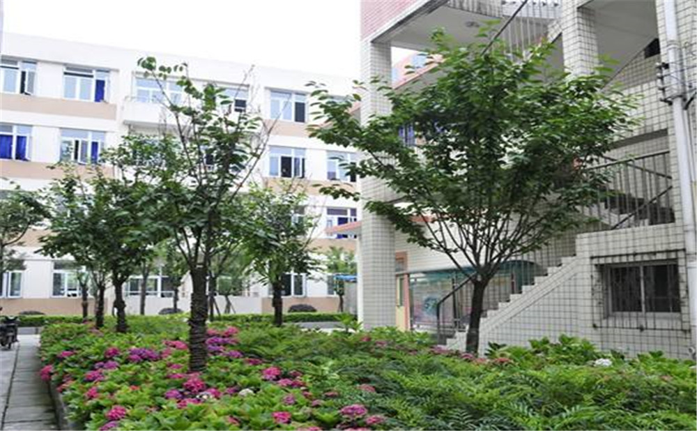 蜀城中學(xué)近三年的錄取分?jǐn)?shù)是多少？