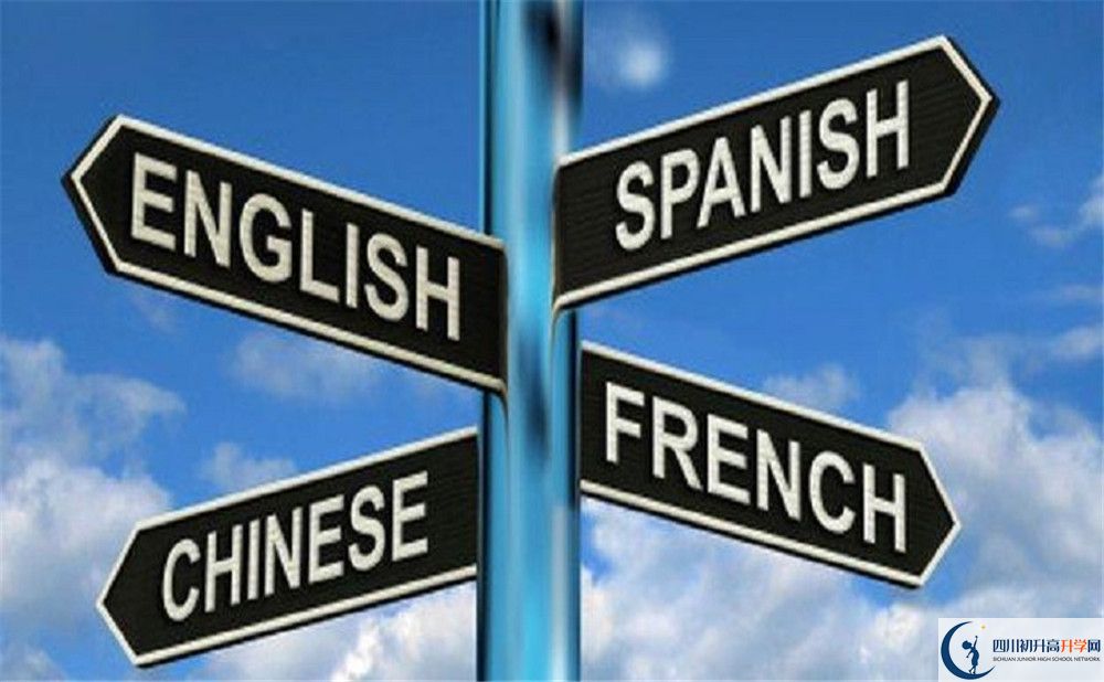 成都石室外國(guó)語(yǔ)學(xué)校的學(xué)費(fèi)收費(fèi)標(biāo)準(zhǔn)是多少？
