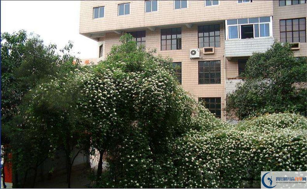 石室聯(lián)合中學蜀華分校一學期的學費是多少？