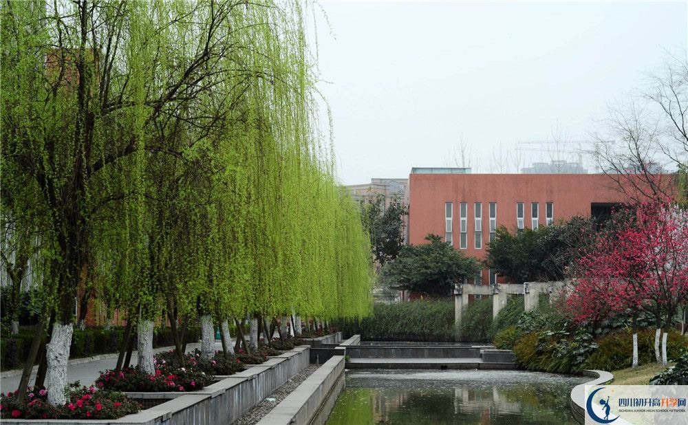 上香城中學(xué)的分?jǐn)?shù)線是多少？