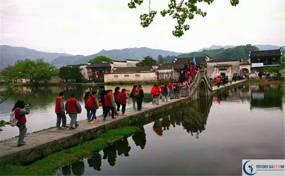成都市泡桐樹中學(xué)的學(xué)費(fèi)一期是多少？