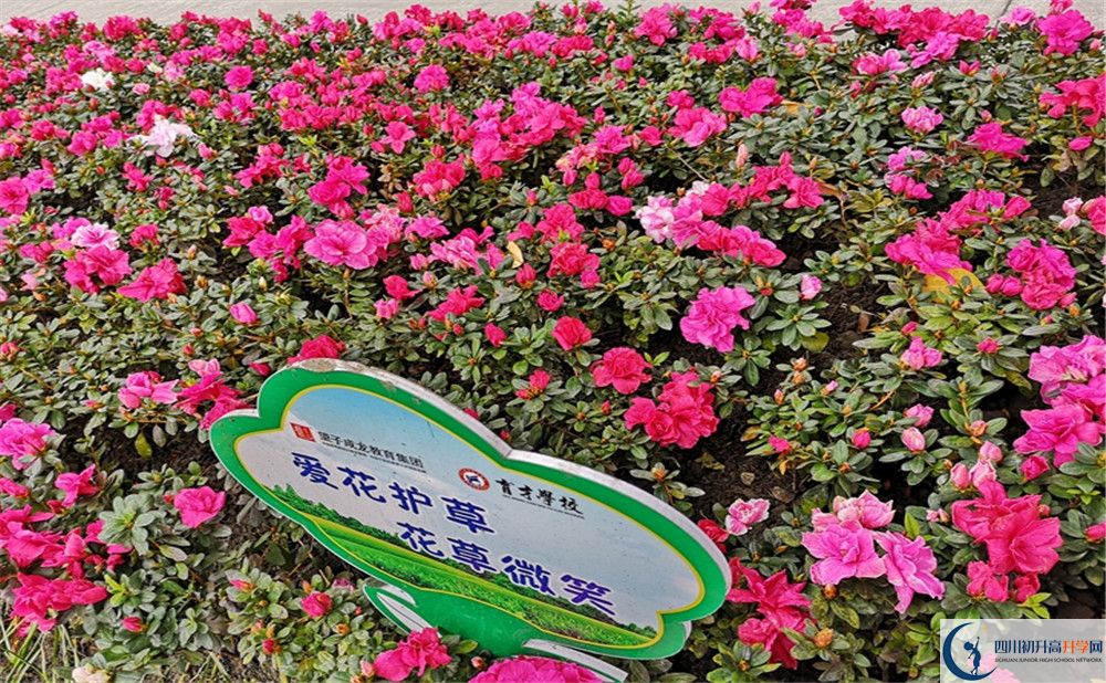 育才學(xué)校高中歷年來的分數(shù)線是多少？