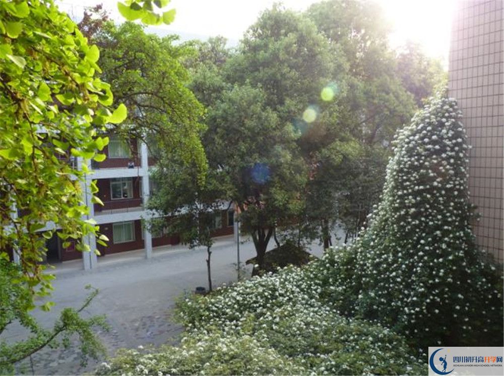 成都市石室聯(lián)中蜀華分校初升高的政策是什么？
