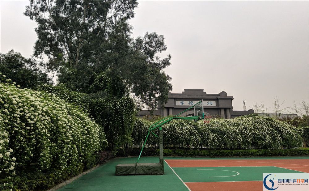 成都大學(xué)附屬中學(xué)2020清華北大錄取學(xué)生是多少？