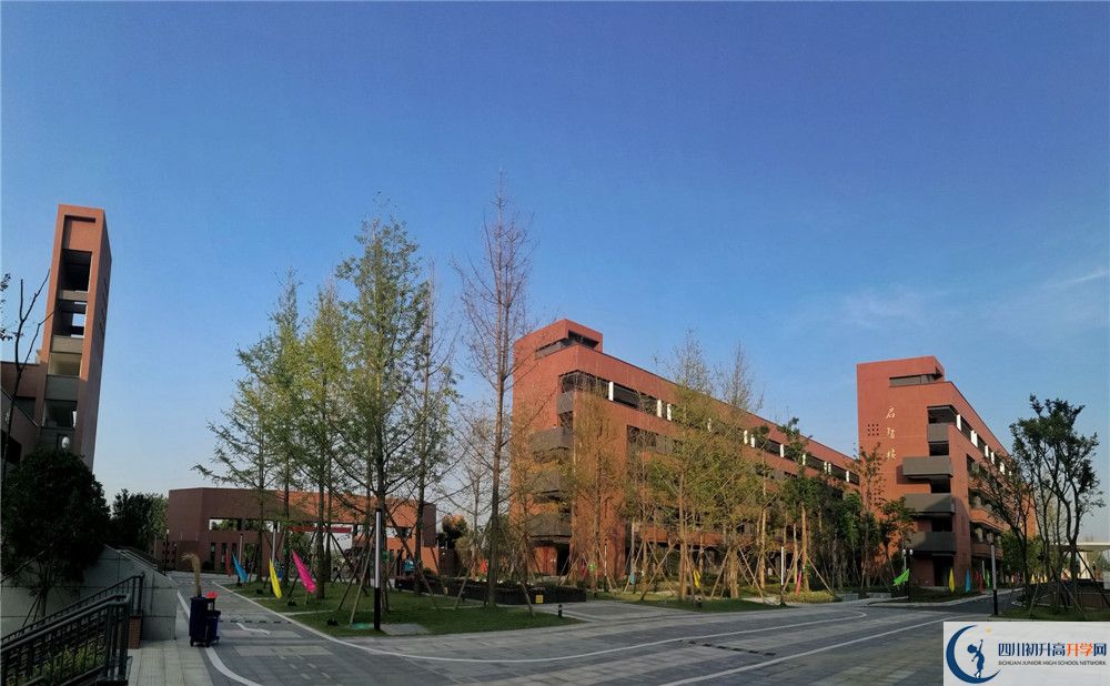 電子科技大學(xué)實驗中學(xué)2020年清華北大錄取學(xué)生有多少？