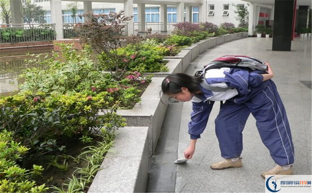 成都市龍泉中學(xué)初升高向外地招生嗎？