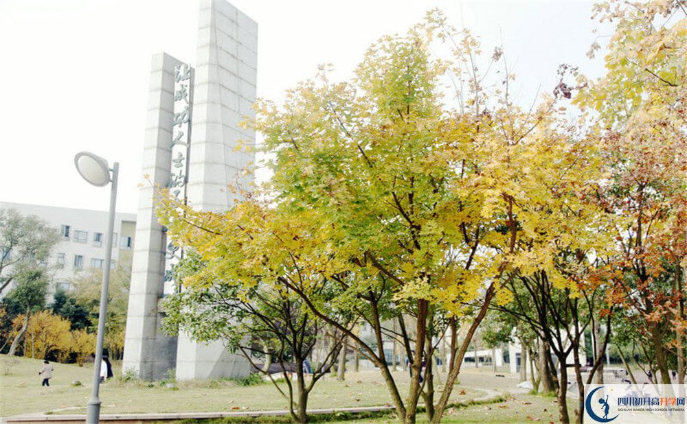 成都實(shí)驗(yàn)外國(guó)語(yǔ)學(xué)校（西區(qū)）2020年外地生學(xué)費(fèi)是多少？