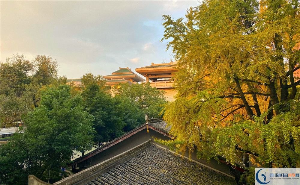 成都市泡桐樹(shù)中學(xué)平行班與實(shí)驗(yàn)班差多少？