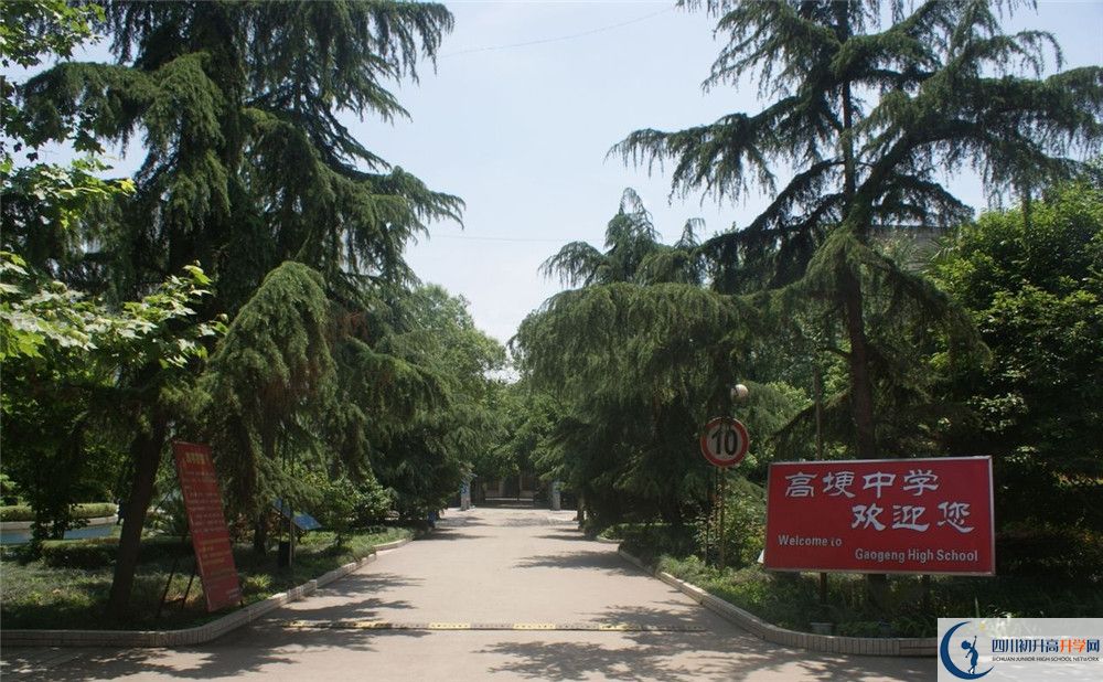 2020高埂中學(xué)高考重點大學(xué)升學(xué)率是多少？