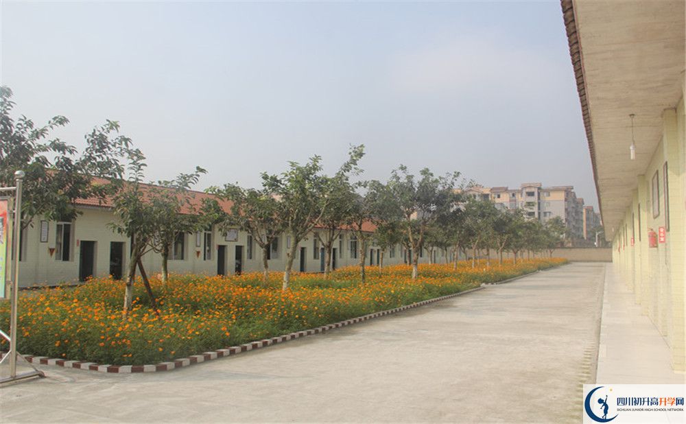 強項實驗中學(xué)在全國高中排名多少？