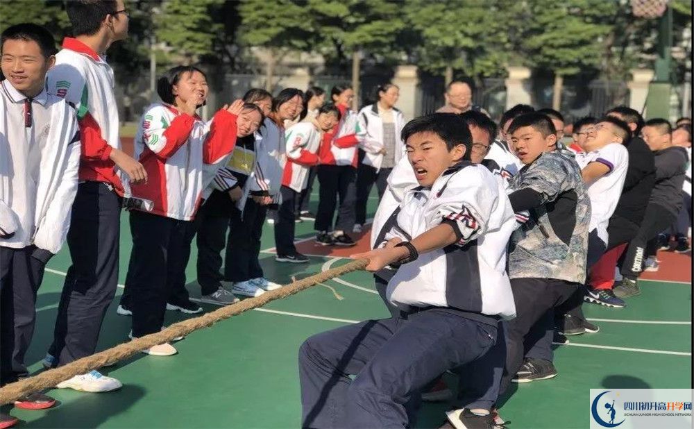 成都樹德中學(xué)面向全國(guó)招生嗎？