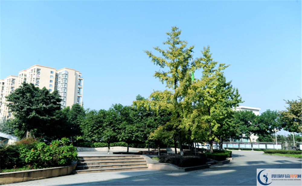 2020成都棠湖外國(guó)語(yǔ)學(xué)校高三英語(yǔ)期末試卷在哪看？