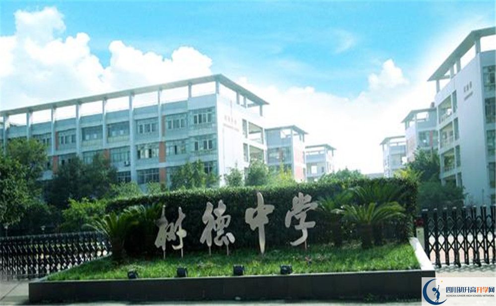 成都樹德中學(xué)光華校區(qū)補課嗎？