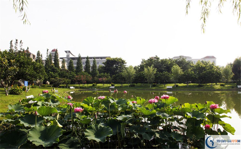 四川師范大學(xué)附屬中學(xué)今年的錄取條件是否有變化？