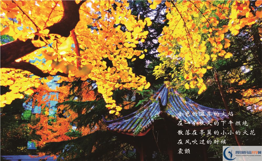 成都七中初三課程資源在哪里看？