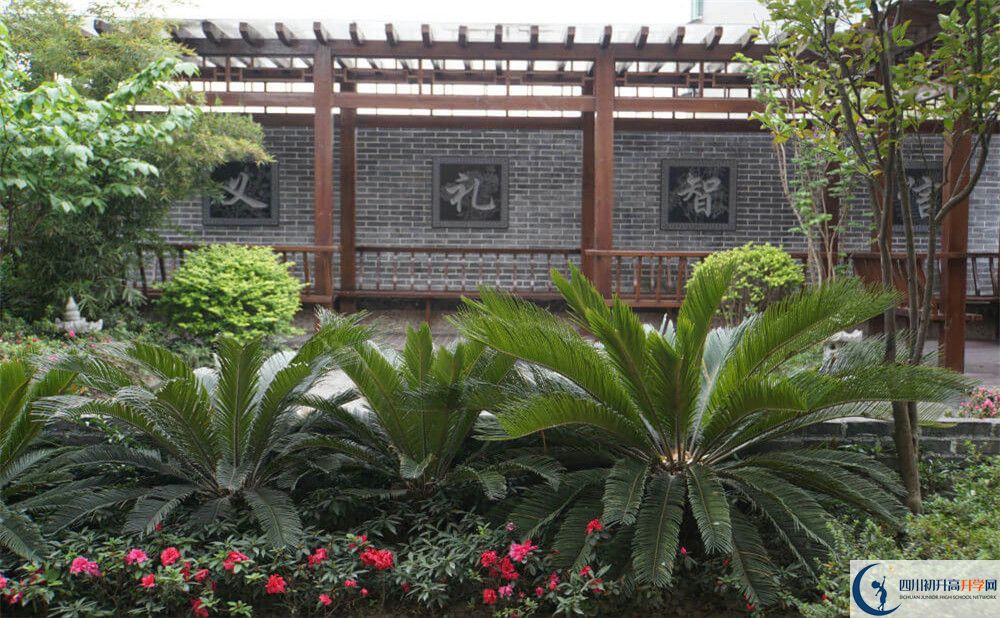 成都八中高三診斷考試時間怎么安排？