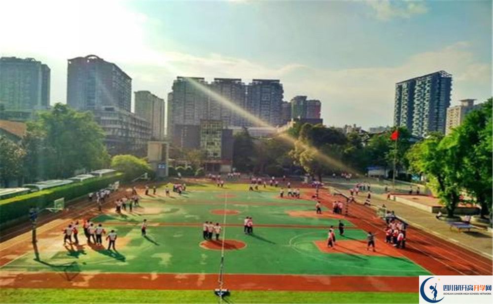 樹德協(xié)進(jìn)中學(xué)2020年是省一級嗎？