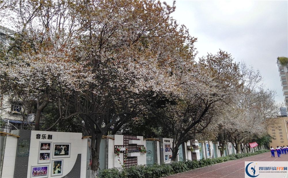 成都大學附屬中學2020年高考成績好不好？